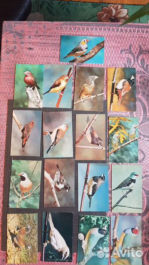 Открытки СССР 