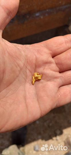 Месторождение россыпного золота