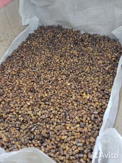 Перга пчелиная