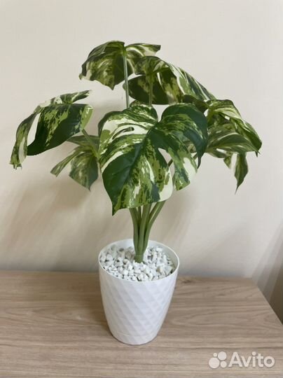 Монстера искусственная