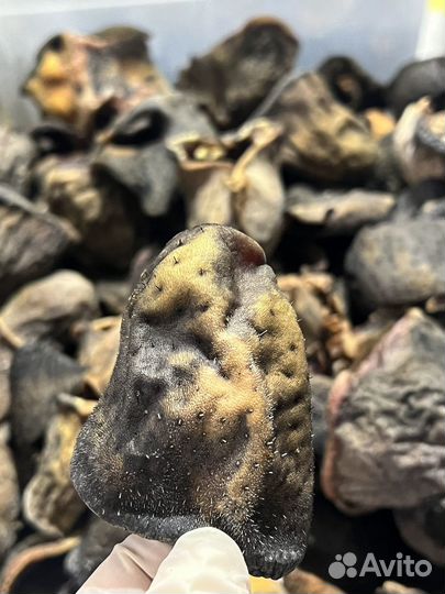 Губы говяжьи сушеные