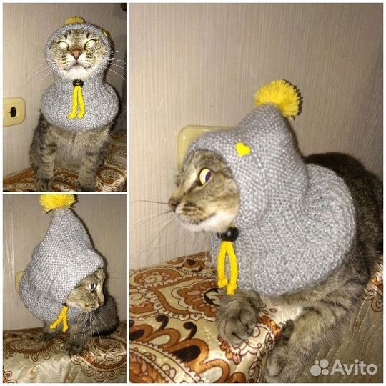 Вязаные шапочки для собак и кошек