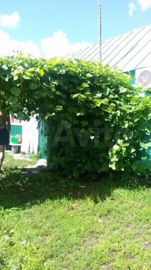 Дом 60 м² на участке 25 сот.