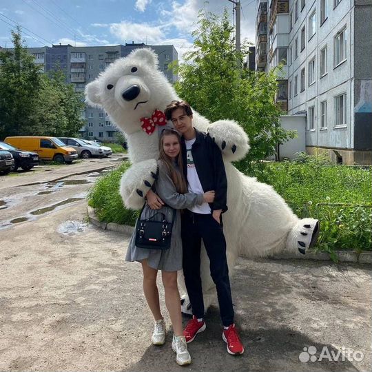 Поздравление от белого мишки