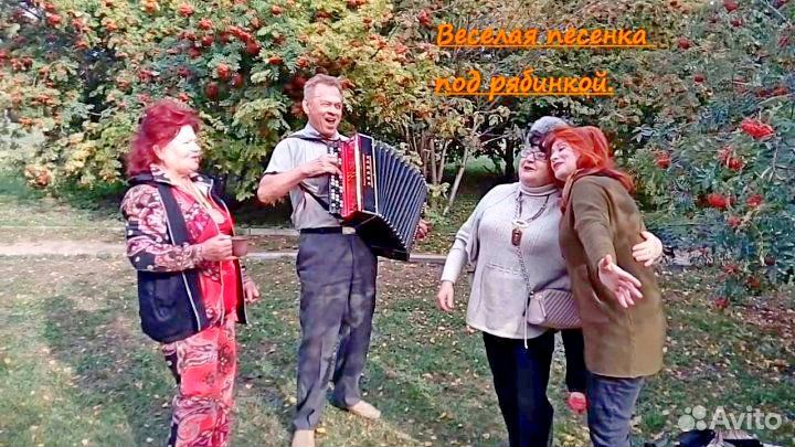 Баянист на юбилей, праздник