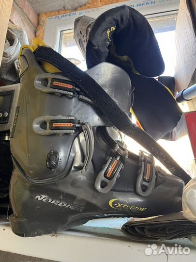 Горнолыжные ботинки