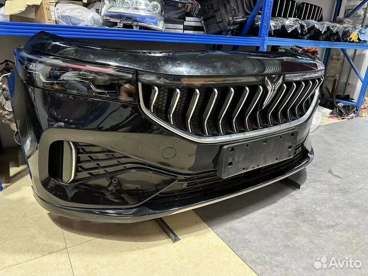 Ноускат Voyah Free