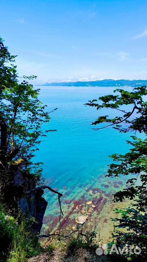 Отдых на море Агой гостевой дом