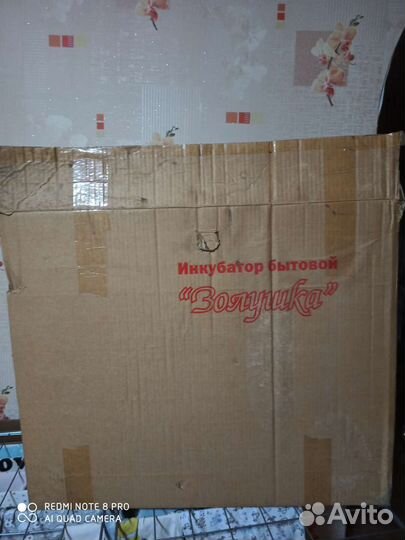 Инкубатор для яиц бу