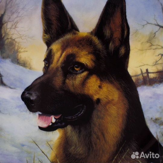 Комплект или поштучно тарелок Danbury Mint