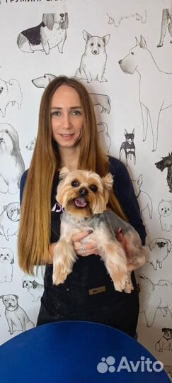 Груминг собак на дому