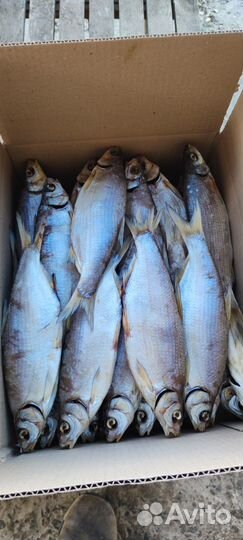 Вяленная рыба