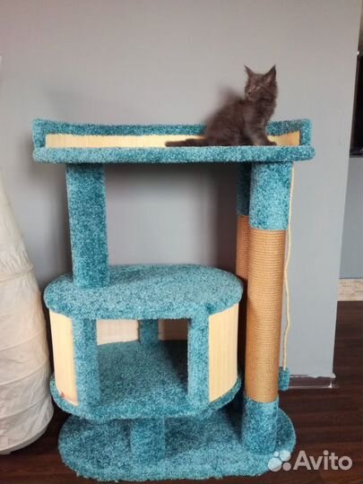 Домики, и когтедралки, туннели, лежачки