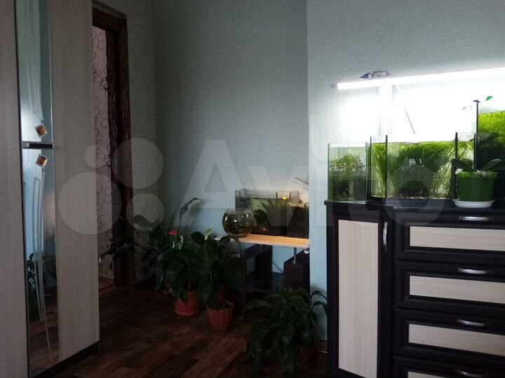4-к. квартира, 58,3 м², 4/5 эт.