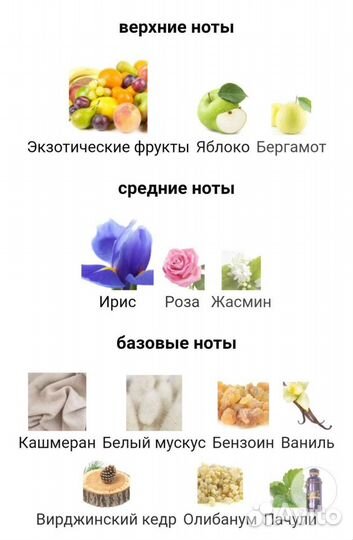 Iris Violet Alexandre.J тестер