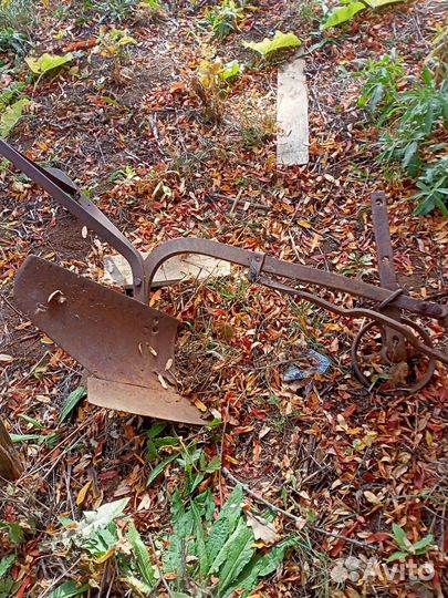 Предплужники