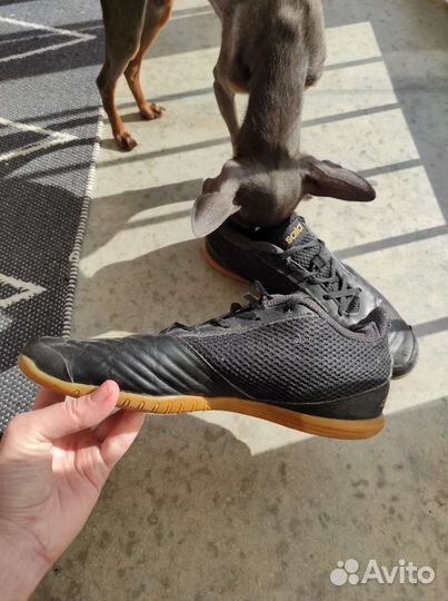 Футбольные футзалки adidas predator