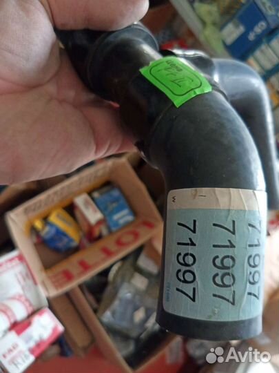 Патрубок радиатора нижний Ford Focus 1 USA, 2.0 AT