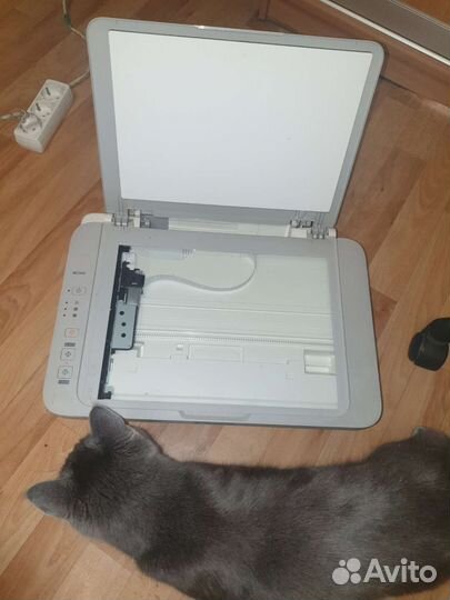 Цветной принтер сканер canon pixma mg2440