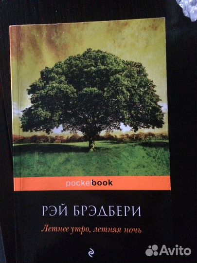 Рэй Брэдбери Летнее утро, летняя ночь