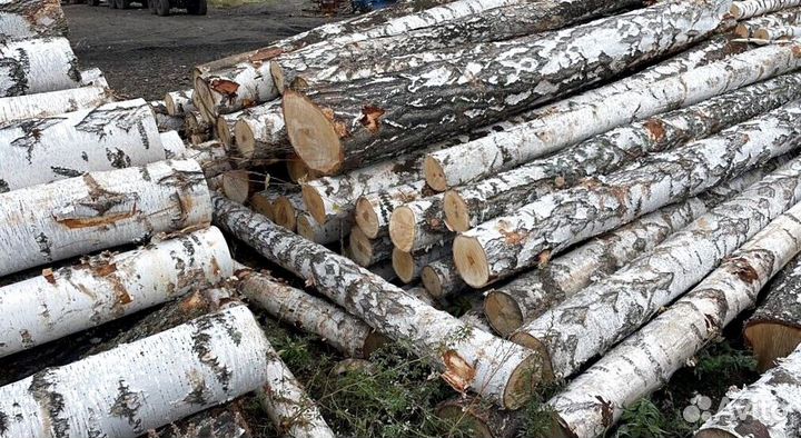 Берёзовый уголь оптом