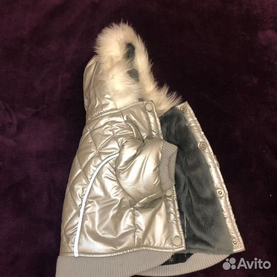 Теплая зимнний комплект для вашего питомца