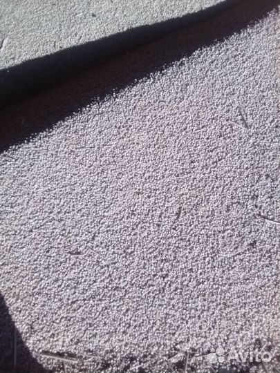 Белая кукуруза