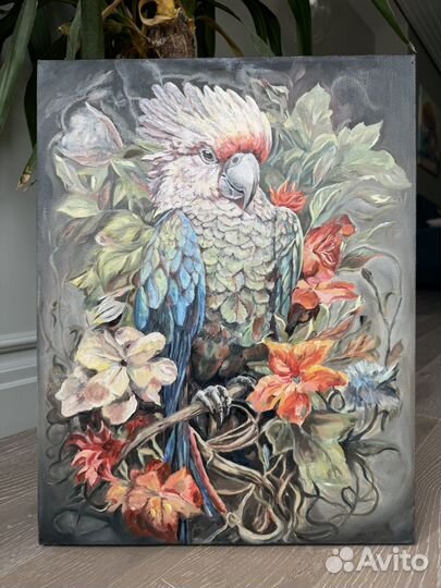 Картина маслом на холсте Попугай