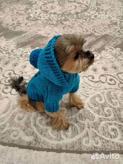 Одежда для маленьких собак
