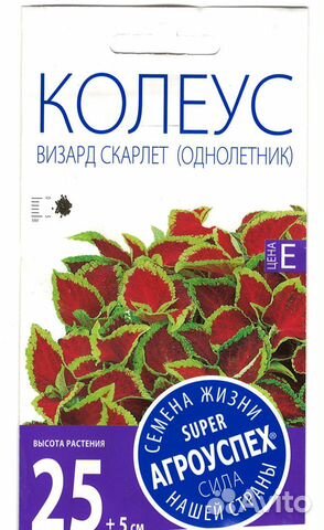 Агроуспех Колеус Визард Скарлет 10шт