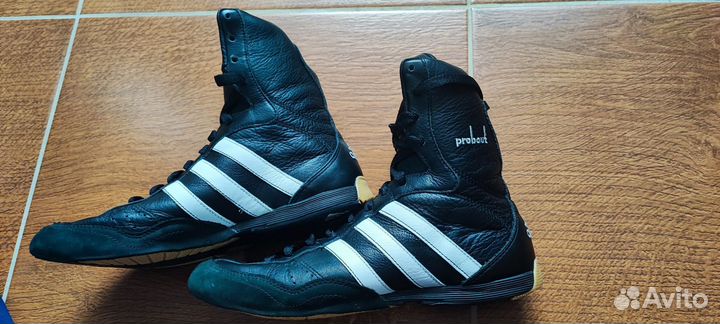 Боксерки adidas probout