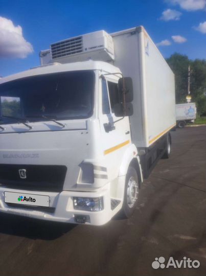 КамАЗ 4308, 2016