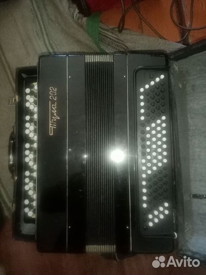 Баян тула 202