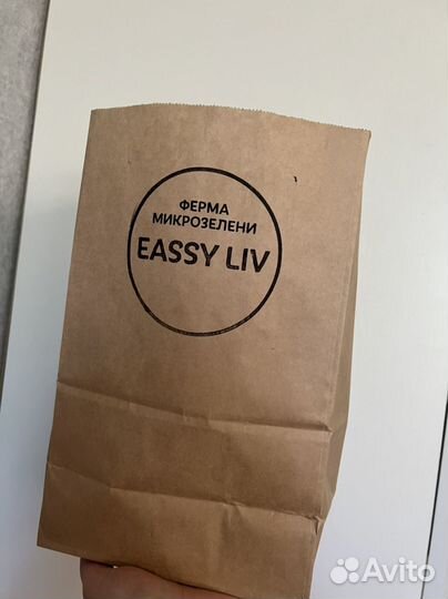 Микрозелень гороха