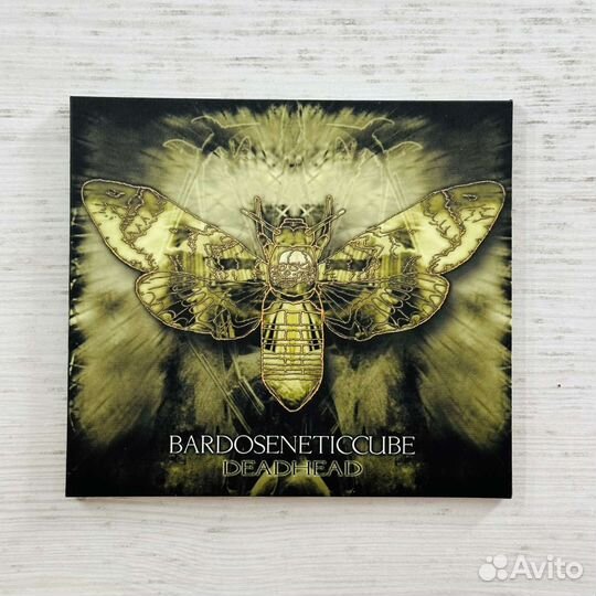 CD Bardoseneticcube 