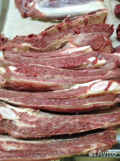 Мясо говядина домашняя