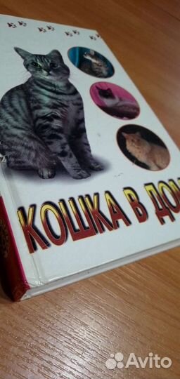 Кошка в доме книга о кошках
