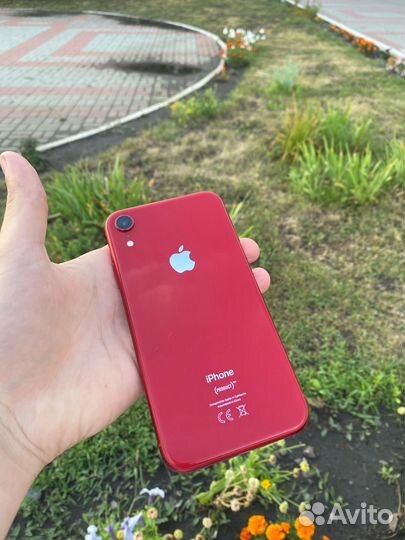iPhone Xr, 64 ГБ