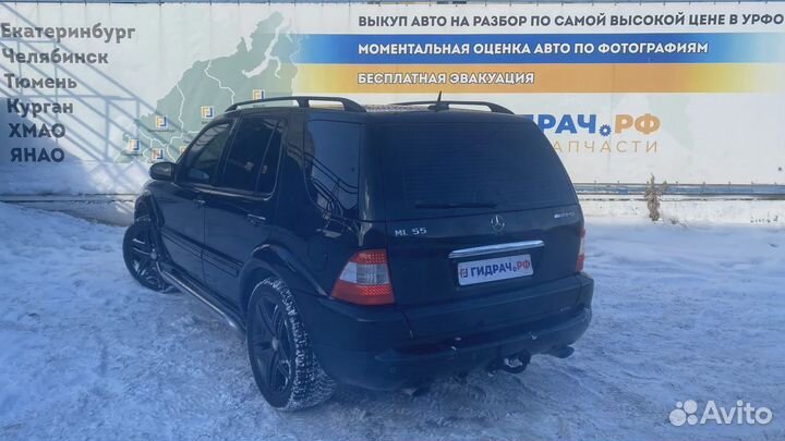 Блок электронный Mercedes-Benz ML55AMG (W163) 2118