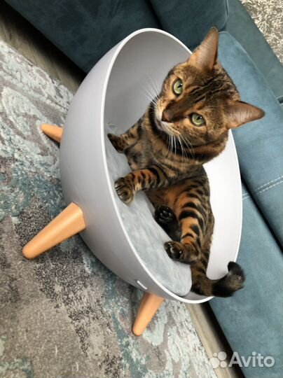 Лежанка для животных/лежак полусфера/домик