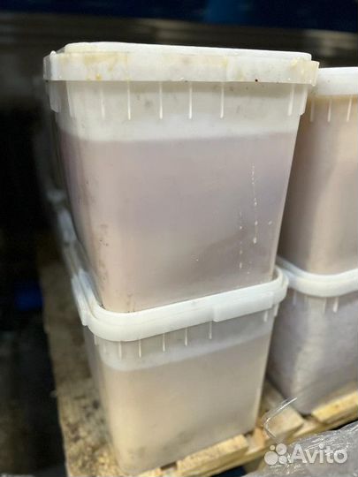 Мед акациевый оптом