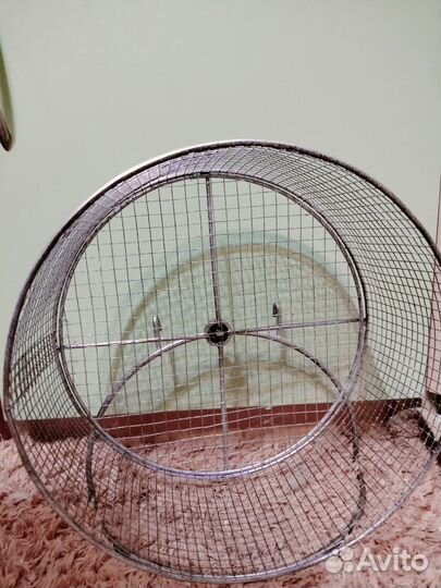 Товары для грызунов