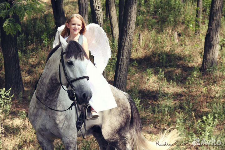 Конные прогулки