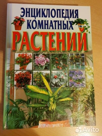 Энциклопедия комнатных растений