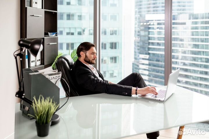 Деловое портфолио