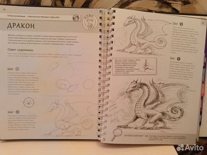 Книга Уроки рисования