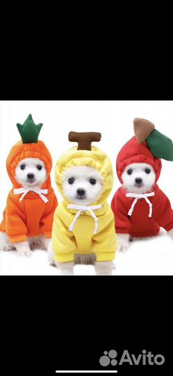 Комбинезоны флисовые для собак и кошек