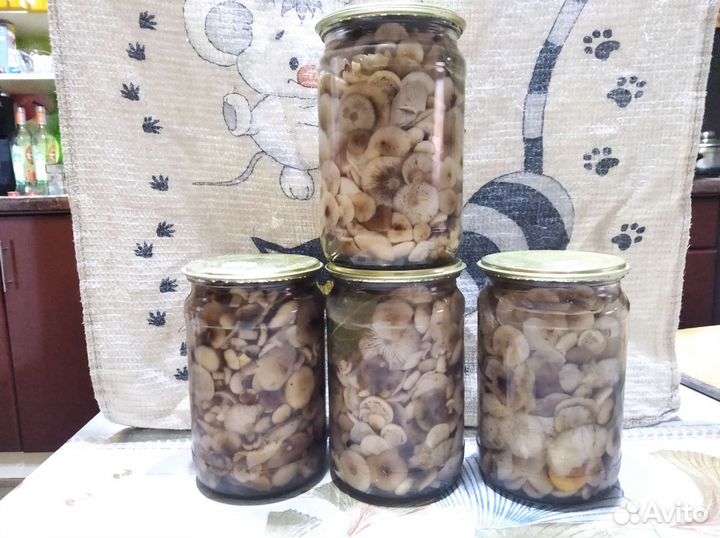 Опята маринованные