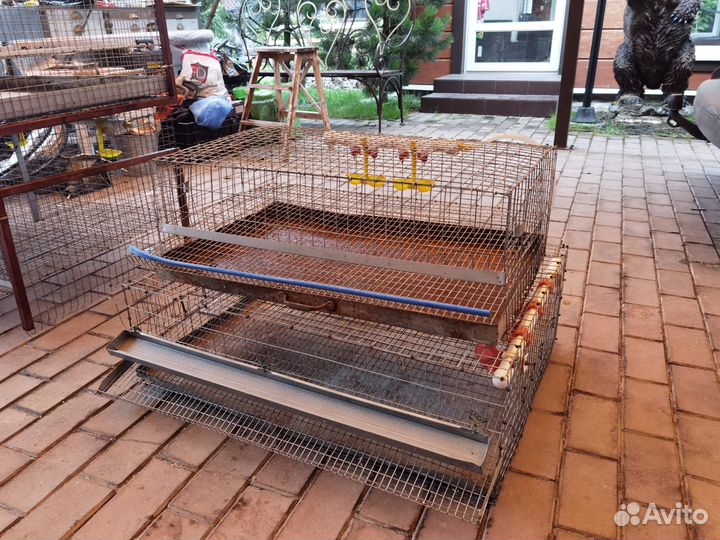 Клетки для перепелов, куриц и бройлеров бу