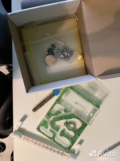 Муравьиная ферма